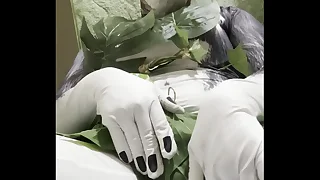 400 cosplay porn videos